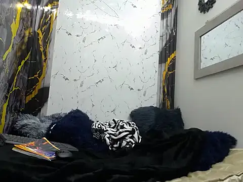 isa_x18 webcam