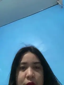 Pinaykendal webcam