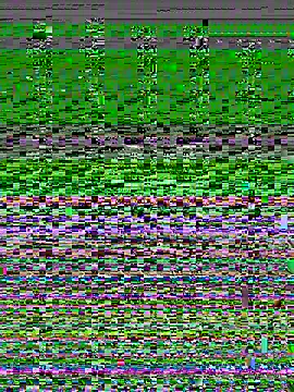 lohan769 webcam