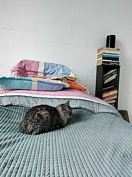 Waruicat webcam