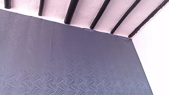 Freyja_eter webcam