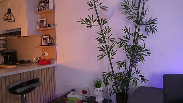 JessicaPratt webcam