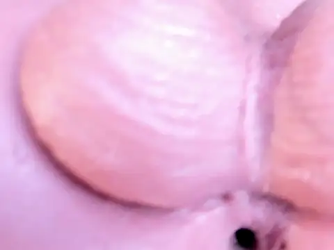 Sissy_Obedient webcam