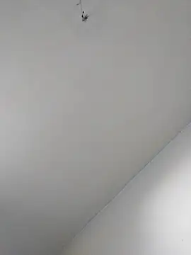 MalditaLocaa webcam