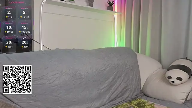 _Lua__ webcam