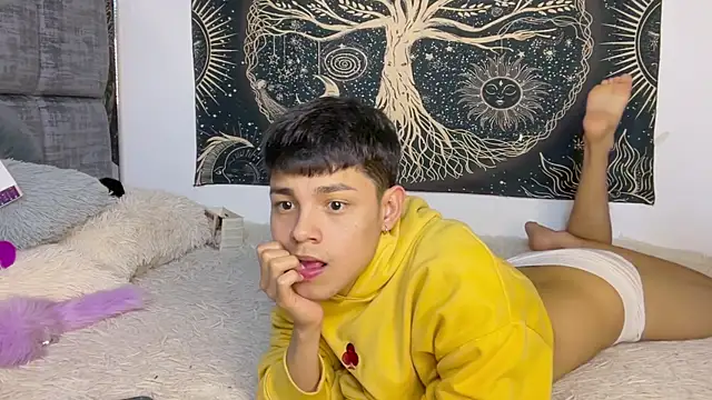 andy_belier23 (M twink) - lovense in my ass