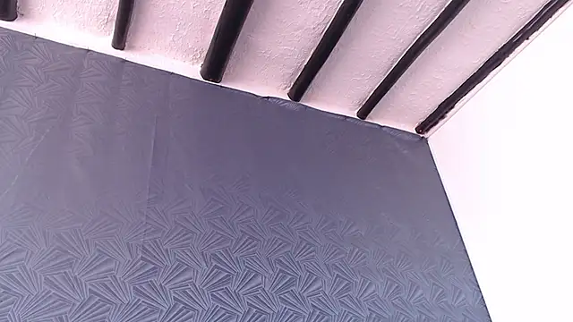 Freyja_eter webcam
