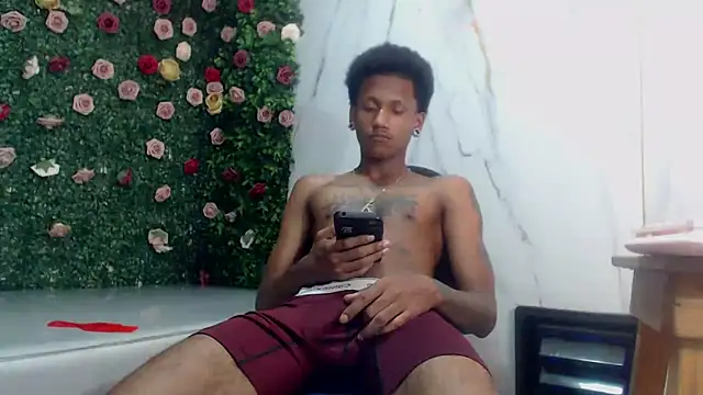 ManSant webcam