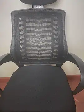 Pam_Rabbit webcam