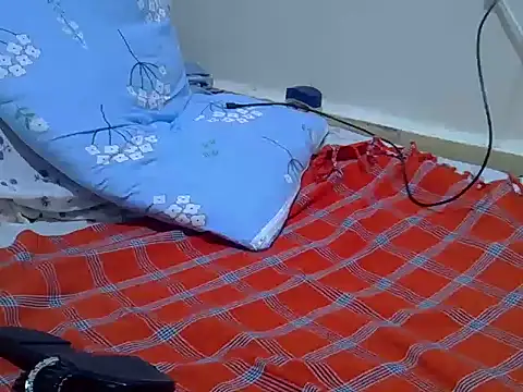 verl1 webcam