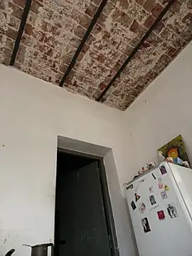 alicetgirlbr webcam