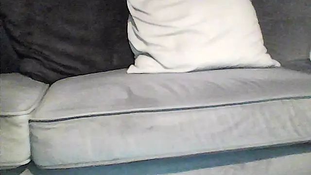 perlados webcam