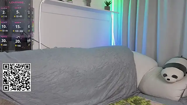 _Lua__ webcam