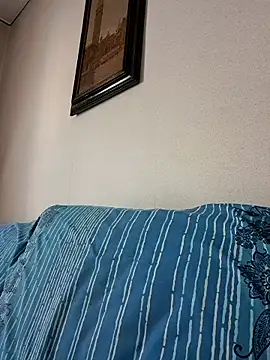 Sony28v webcam