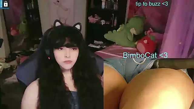 BimboCat webcam