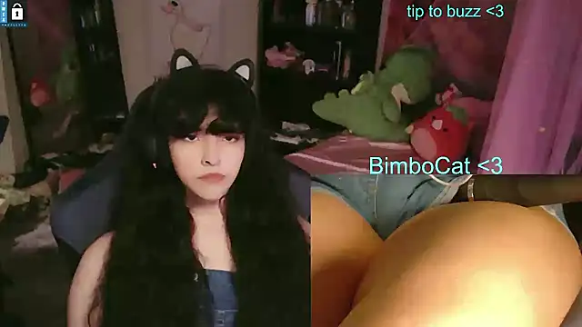 BimboCat webcam