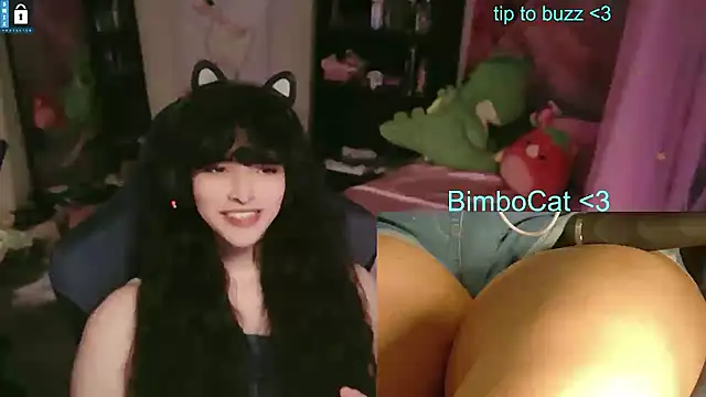 BimboCat webcam