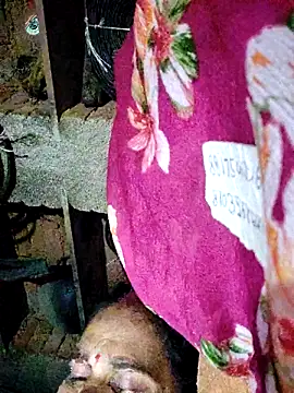 Pooja750 webcam