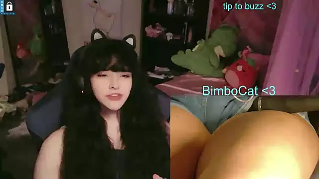 BimboCat webcam