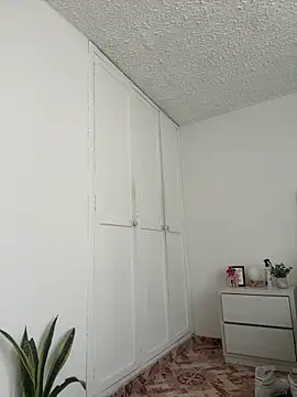 SubBoy_bear webcam