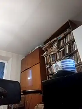 Pokaz2020 webcam