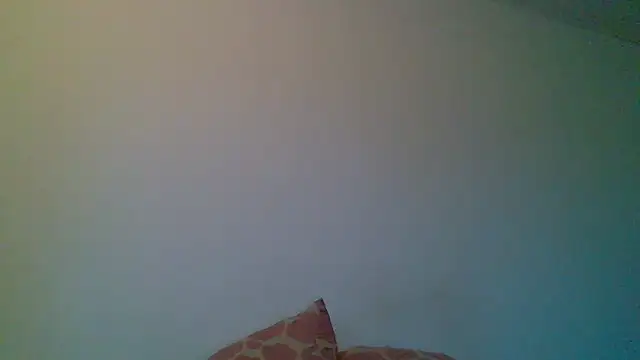Kaappi1967 webcam