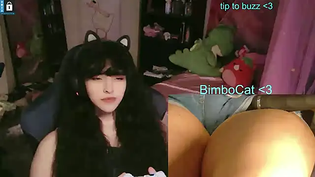 BimboCat webcam