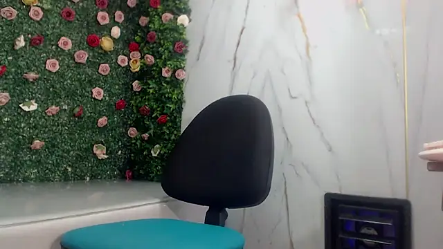 ManSant webcam