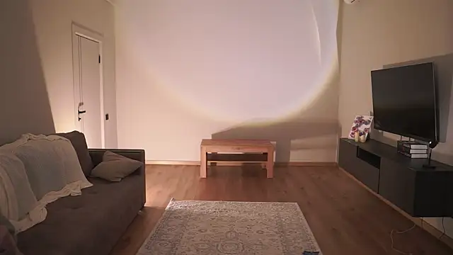 AdaBell webcam