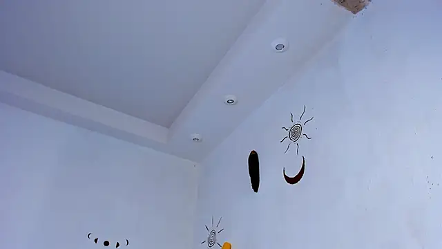 LiyaFly webcam