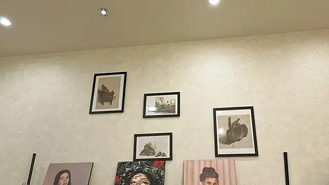 dolly_ll webcam