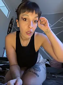 Piggiteablacktea webcam