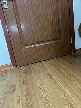 Hello_honey webcam