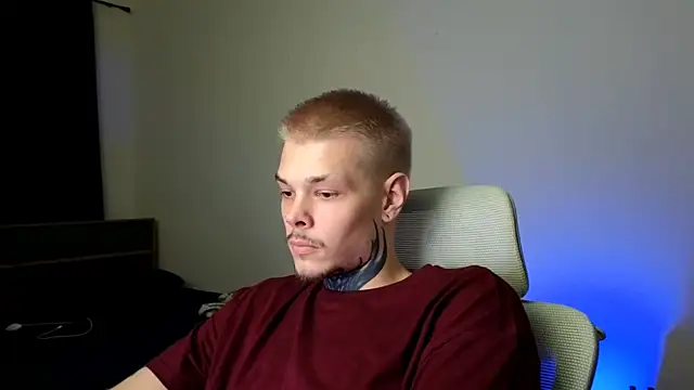 DENIS_HERE webcam