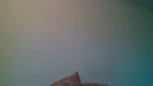 Kaappi1967 webcam