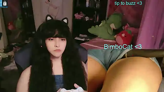 BimboCat webcam