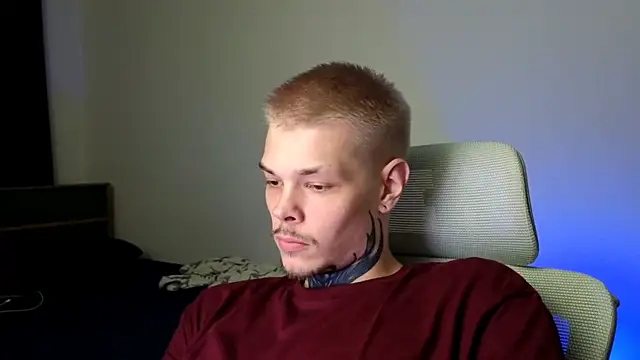 DENIS_HERE webcam