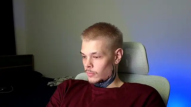 DENIS_HERE webcam