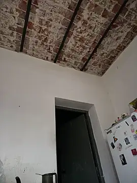 alicetgirlbr webcam