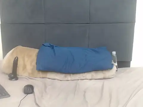 CronicaDass webcam