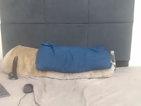 CronicaDass webcam