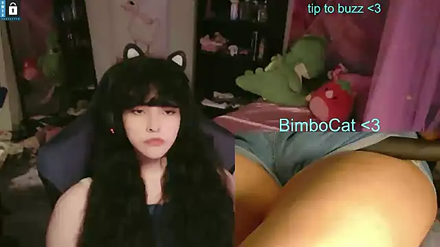 BimboCat webcam