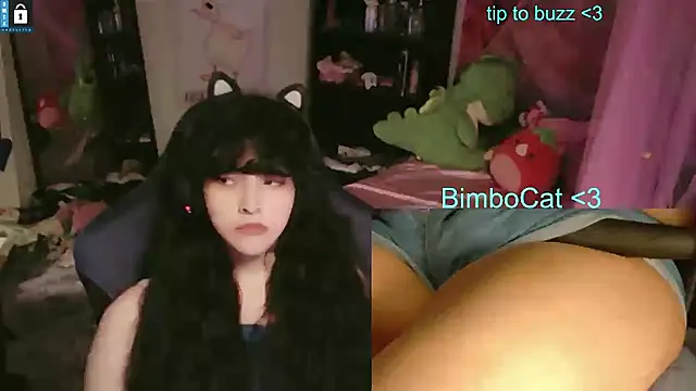 BimboCat webcam