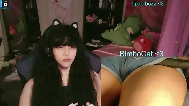 BimboCat webcam