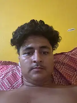 cannonWithMuscles webcam
