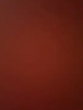 endersonsaddan webcam