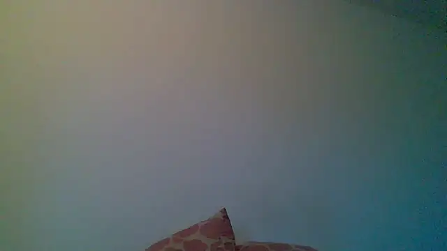 Kaappi1967 webcam
