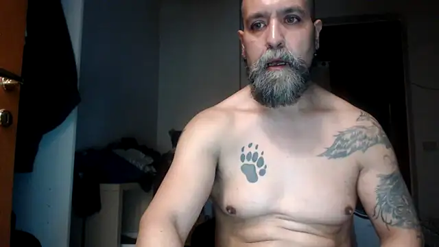 AMIRDIB2025 webcam