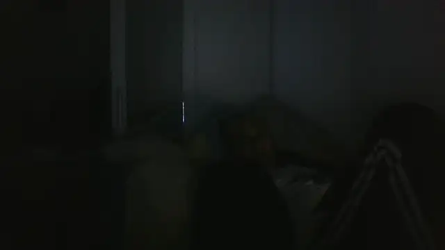 vitalik66679 webcam