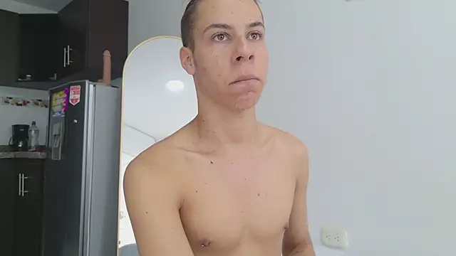 grey___27 webcam